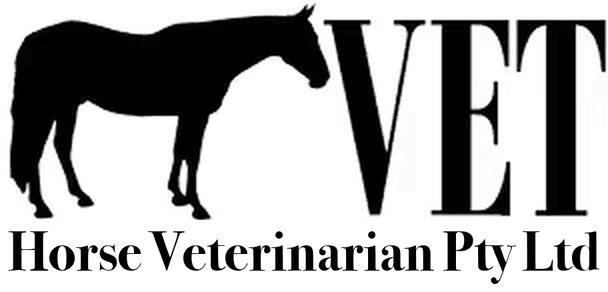 Horse Veterinarian Pty Ltd — mobile equine vet, Canberra
