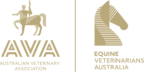 Member — Australian Veterinary Association and Equine Veterinarians Australia