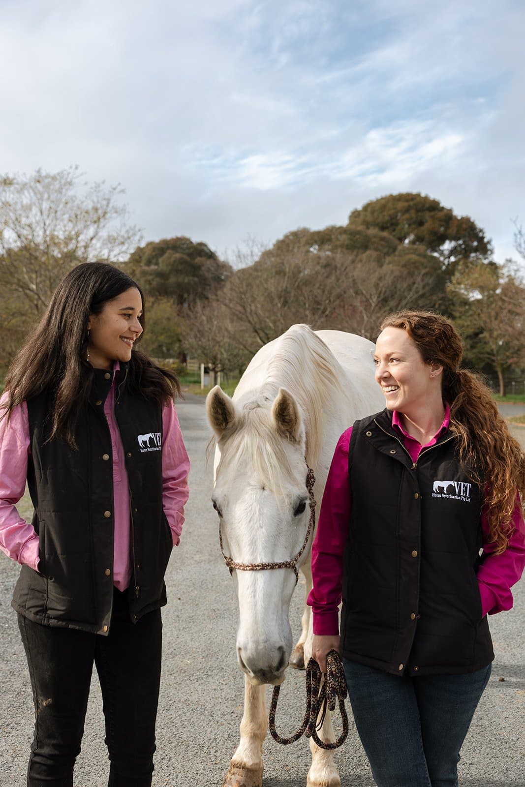 The Horse Veterinarian team on a property visit