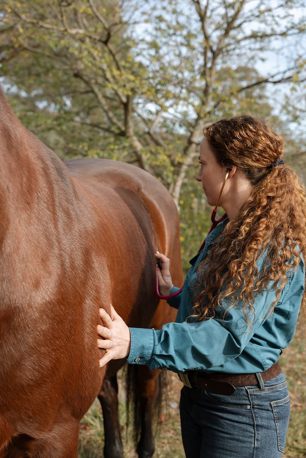 Preparing for a routine health check