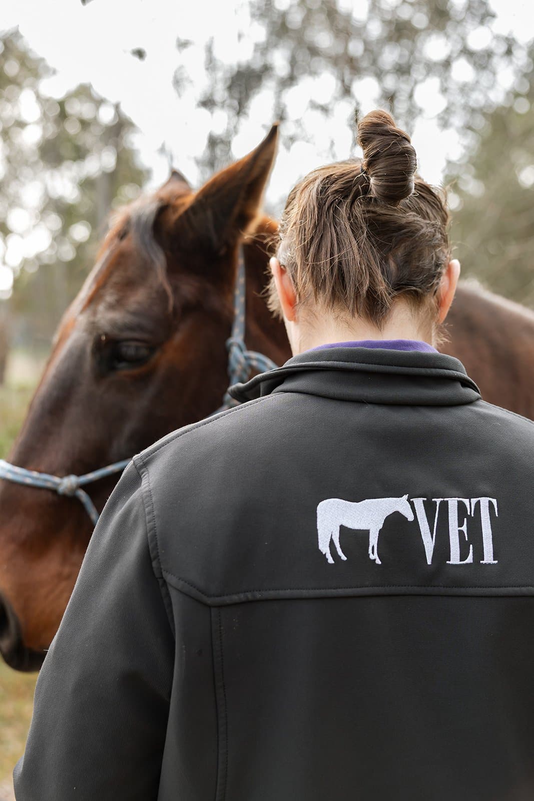 Checking a horse over at their own property