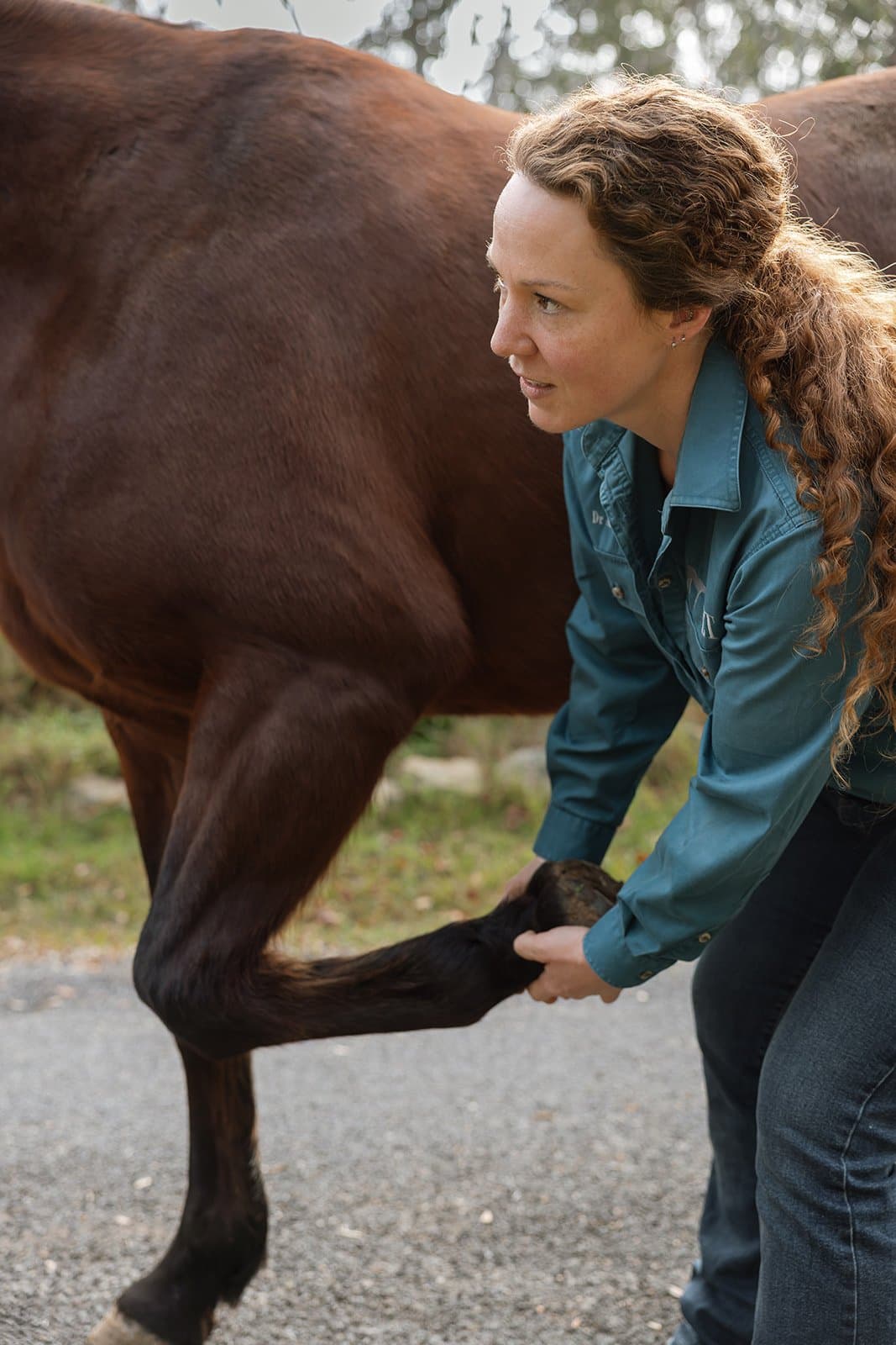 Assessing a horse for lameness on-property