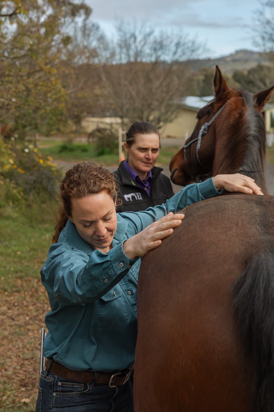 Lameness diagnostics at a client's property