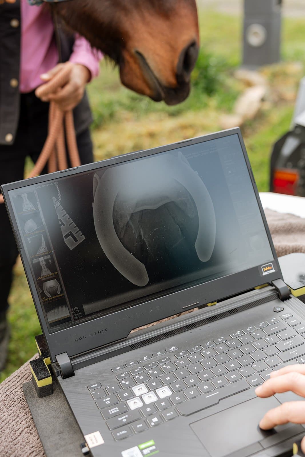 Reviewing a digital radiograph on-site, moments after capture