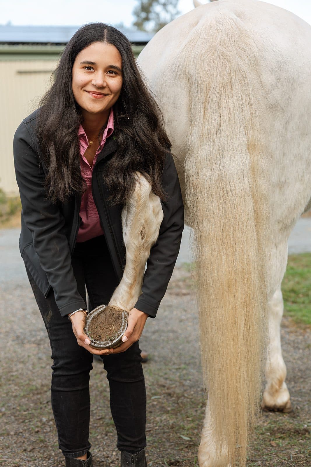 Examining a horse's hoof during a lameness assessment