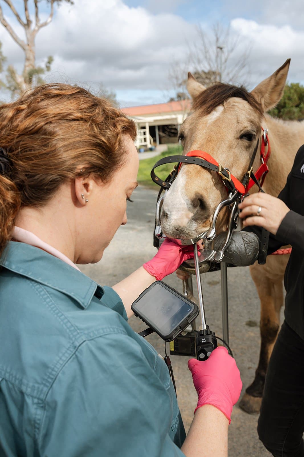 Guiding the dental endoscope into the mouth