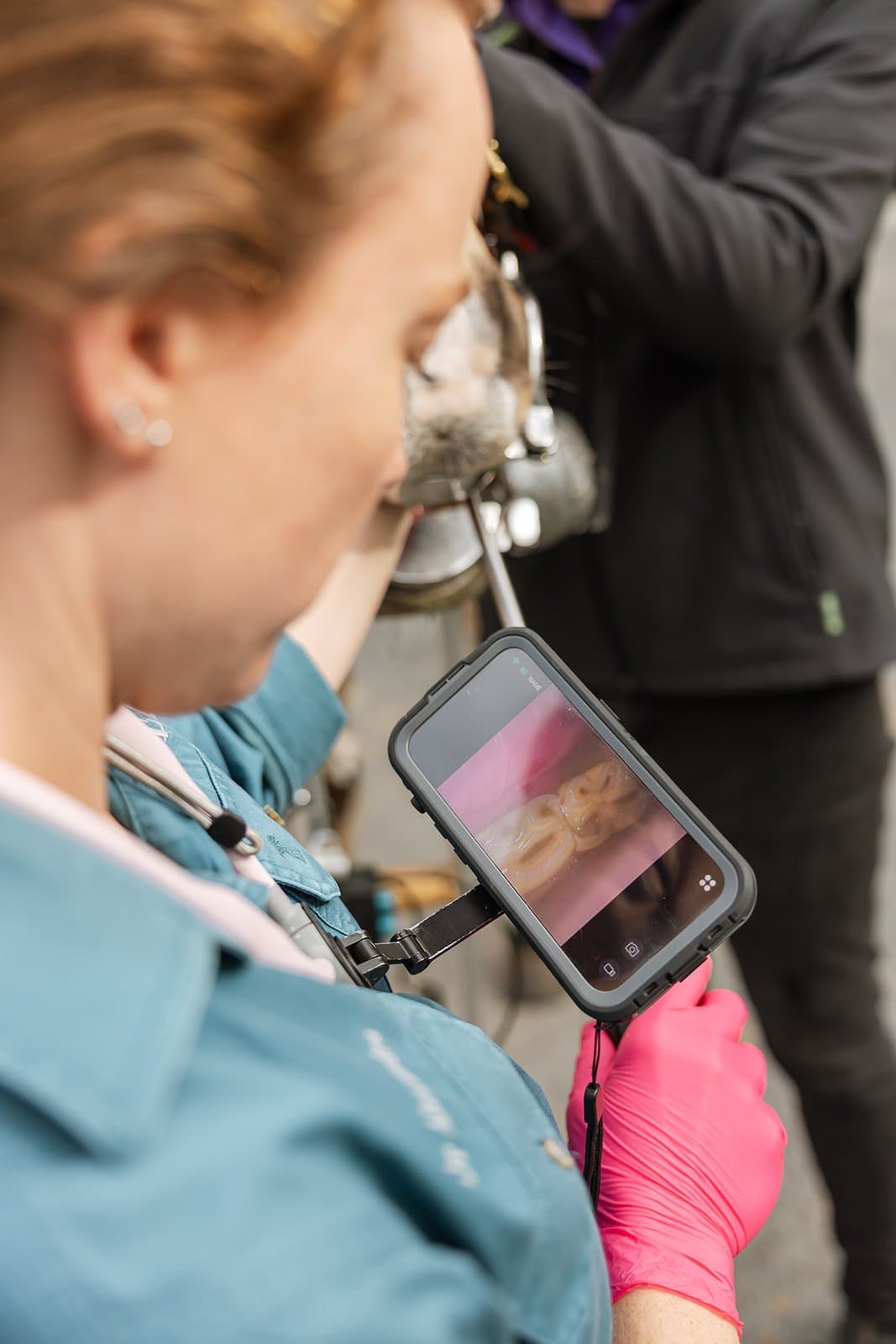 The endoscope screen showing the teeth during an exam